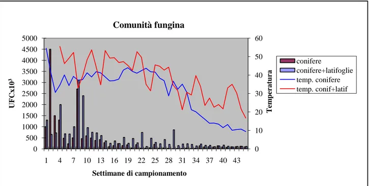 Fig.  5:  Unità  Formanti  Colonie  (UFC)  fungine  totali  monitorate  durante  il  processo  di  compostaggio 