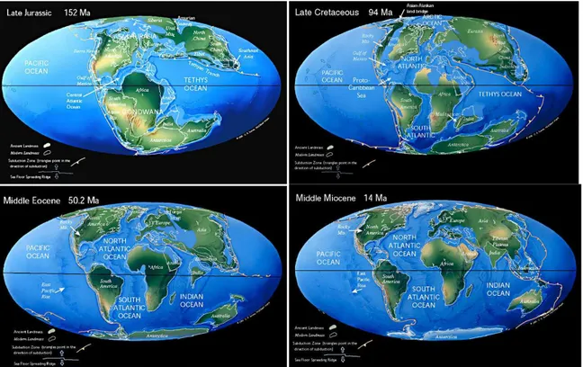 Figure 1.2. Geologic history of Earth and formation of the Mediterranean (the maps have been taken from:  &#34;Plate  tectonic  maps  and  Continental  drift  animations  by  C