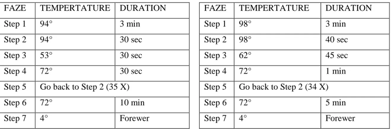 Table  3.5.  PCR  program  used  for  amplification  all  the  cp  DNA  primers  (trnH-psbA,  matK,  trnS-trnG,  trnT(UGU)–trnL(UAA)  5’exon,  trnL(UAA)5’exon– trnL(UAA) 3’ exon, trnL(UAA) 3’ exon –trnF(GAA)).