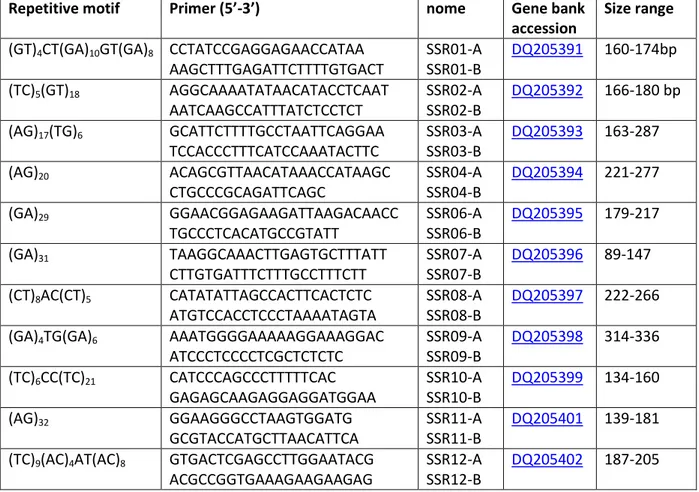 Tabella 11. Elenco dei primer utilizzati nell’analisi SSR dei genotipi parentali e non