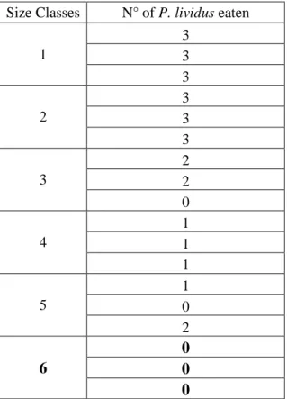 Table  6  Number  of  Paracentrotus  lividus  consumed  by  solitary  Palinurus  elephas  in  each  compartment