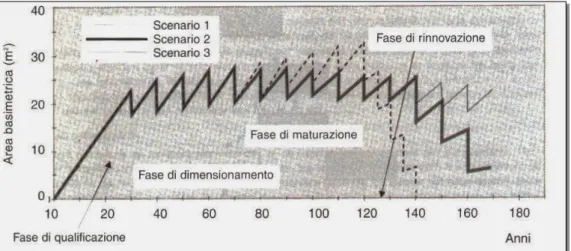 Figura 3: Sovrapposizione delle fasi di maturità e rinnovazione in selvicoltura d'albero