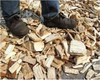 Figura 12: legno sminuzzato prodotto da una sminuzzatrice a vite senza fine   