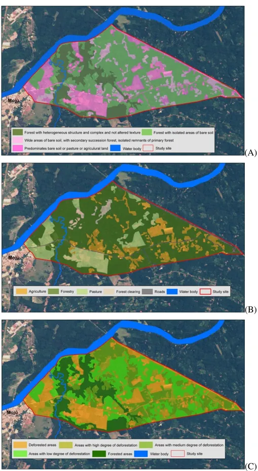 Fig. 5 - Land cover map (A), Land use map (B), grado di deforestazione per il sito sperimentale (C)