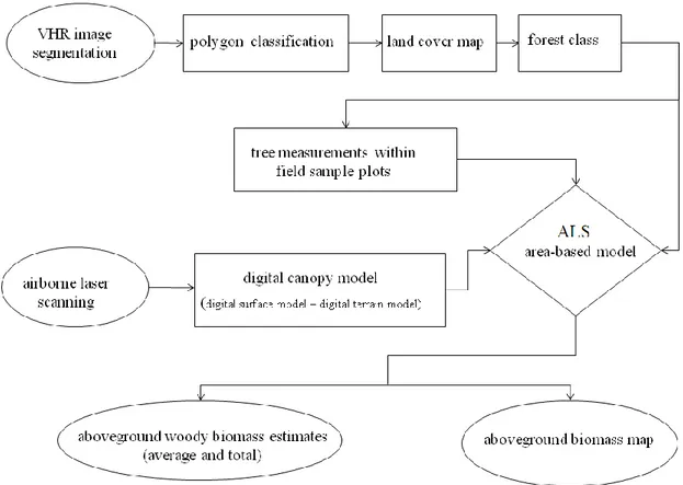 Figure 3.1 - Flow chart of the procedure proposed to assess and map the aboveground woody biomass of forest  vegetation