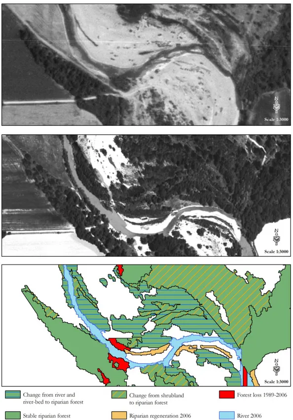 Figure 3.4 - Example of land cover change over the considered period (1989 - 2006); in the upper picture, the  summer  1989  aerial  orthophoto;  in  the  middle  the  summer  2006  orthophoto;  at  bottom,  the  post-segmentation  classification of land c