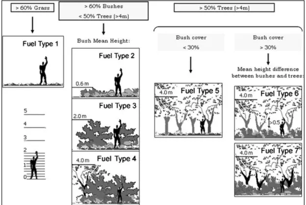 Figure 4.1 - PROMETHEUS fuel types (Arroyo et al., 2006). 
