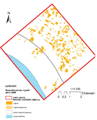 Fig.  11  –  Spazializzazione  dei  vigneti  per  l’area  vasta  pianura  costiera,  ottenuta  da  foto interpretazione di orto foto (2008)