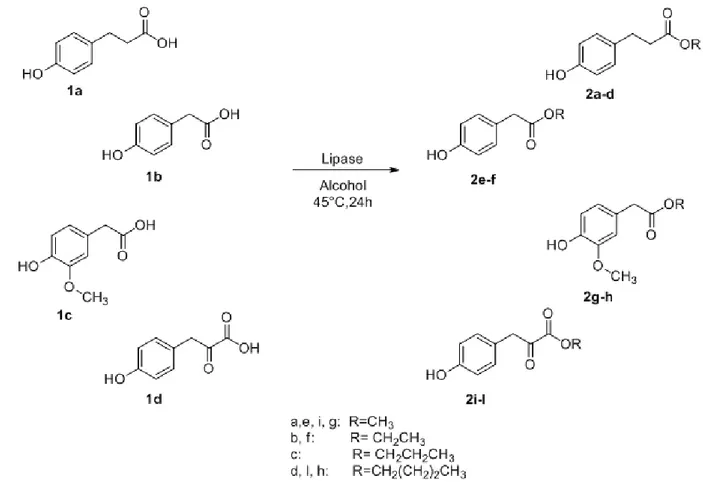 Table 2.2 Esterification of acid phenols 1a-d 