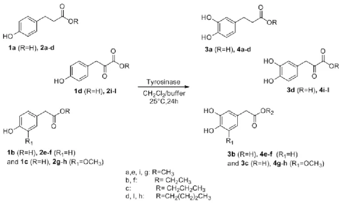 Table 2.4 Oxidation of acidic phenols 1a–d and esters 2a–l with tyrosinase. 