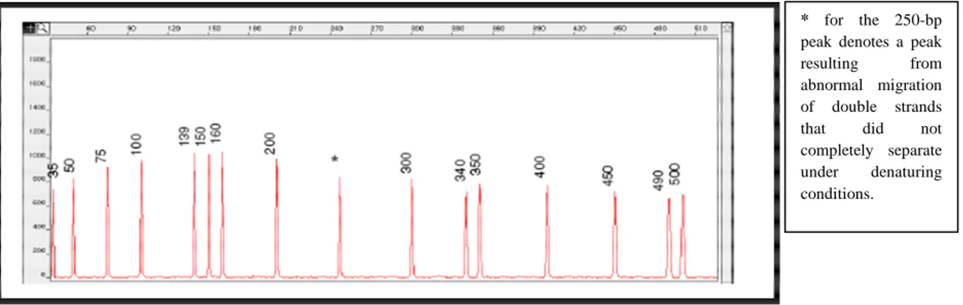 Figure 2.15: Electro program of the GeneScan-500 size standard run under denaturing conditions on the ABI PRISM  310 Genetic Analyzer