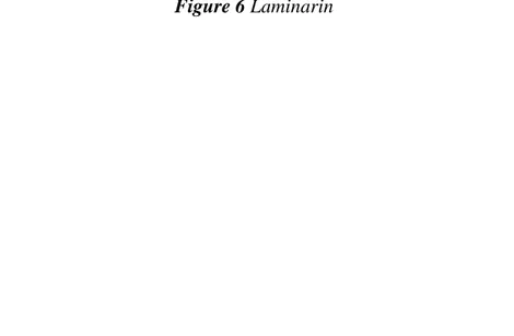 Figure 6 Laminarin 