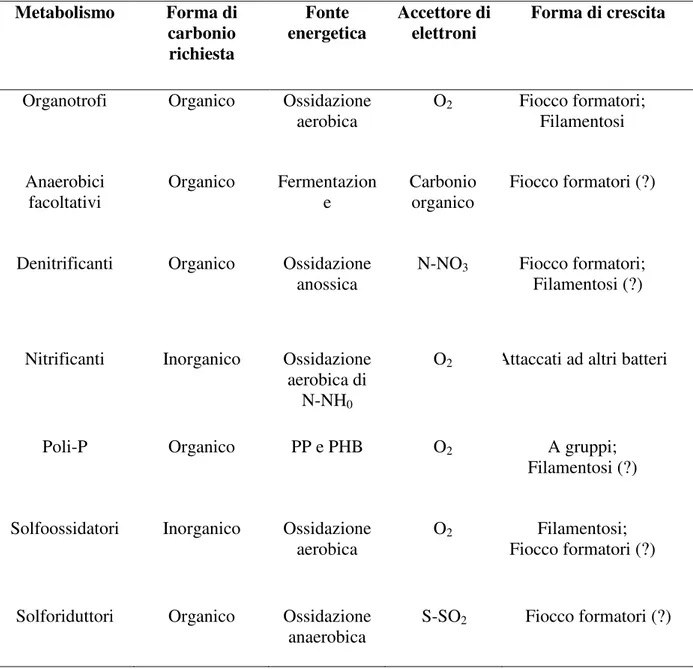 Tab. 3.1: Microrganismi presenti nei fanghi attivi suddivisi per gruppi metabolici. 