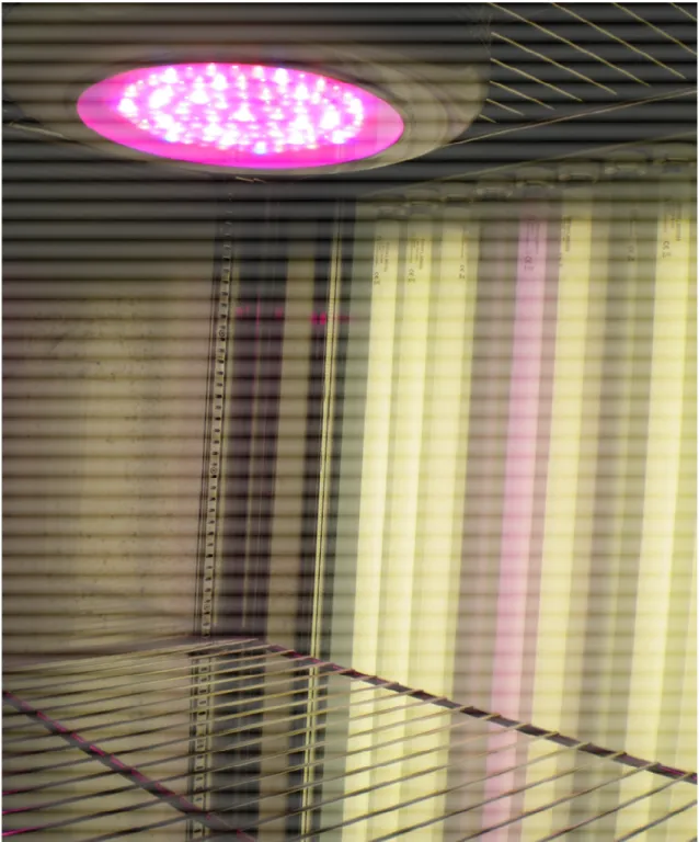 Fig. 16. Lampada LED-UFO in una camera tradizionale 