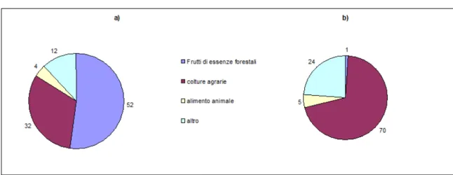Figura  11-Esempi  di  variazione  della  composizione  della  dieta  del  cinghiale  nel ciclo annuale in periodi di (a) buona disponibilità (b) scarsa disponibilità  di frutti di essenze forestali