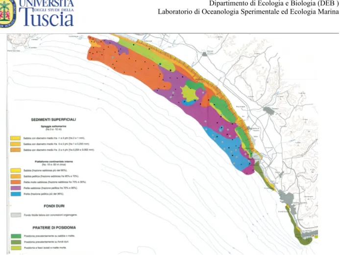 Fig. 5: Carta della distribuzione dei sedimenti e delle praterie di Posidonia Oceanica (Ardizzone, La Monica, Raffi, 