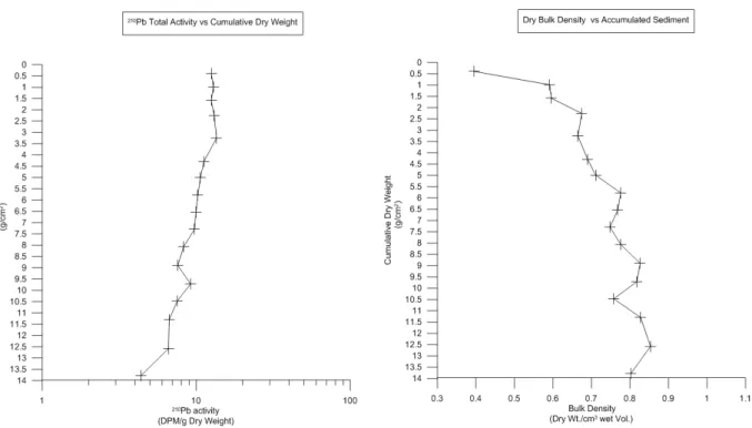 Fig. 26: Profilo dell' accumulo sedimentario (valori cumulati di peso secco)  rispetto all'attività totale del  210 Pb in ogni 