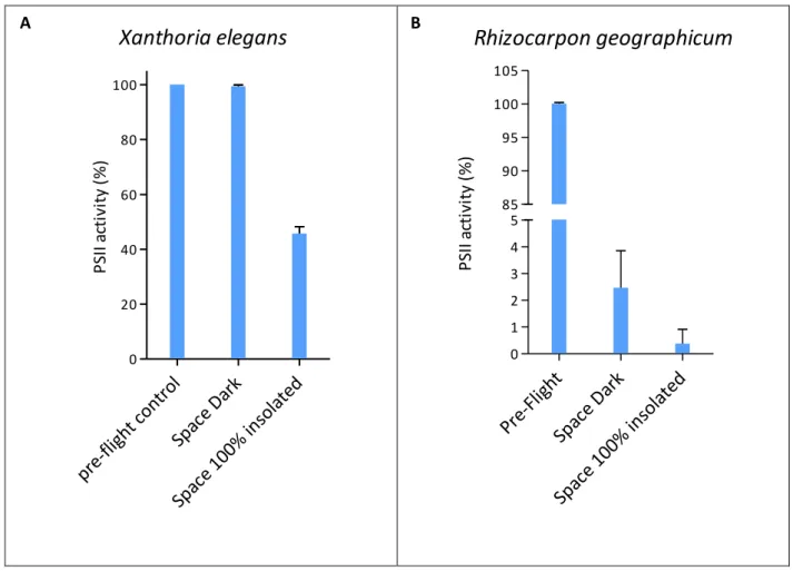 Fig.  2.  Viability  of  the  lichens  (A)  X.  elegans  and  (B)  R.  geographicum,  determined  by 