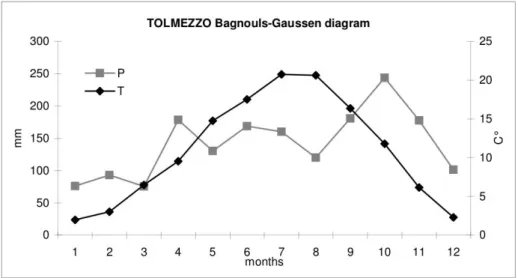 Illustrazione 4: Diagramma Bagnouls-Gaussen, Tolmezzo