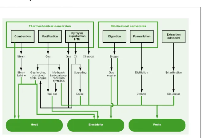 Figure  1  Key  bioenergy  conversion  technologies  for  first  and  second  generation  liquid biofuels