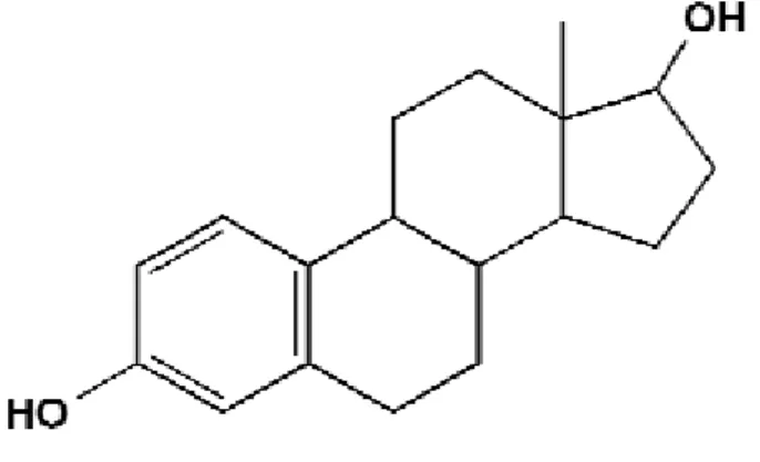 Fig. 2  Structure of oestradiol 