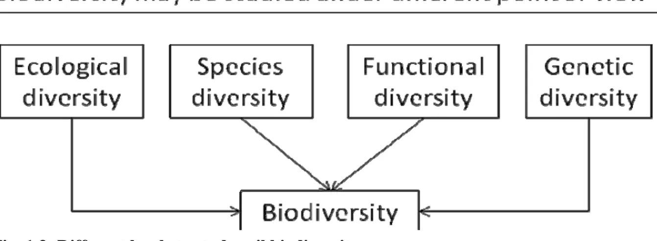 Fig. 1.3: Different levels to study soil biodiversity 