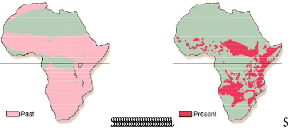 Fig. 8: Distribuzione del leone africano (figura tratta da African Lion working group) 