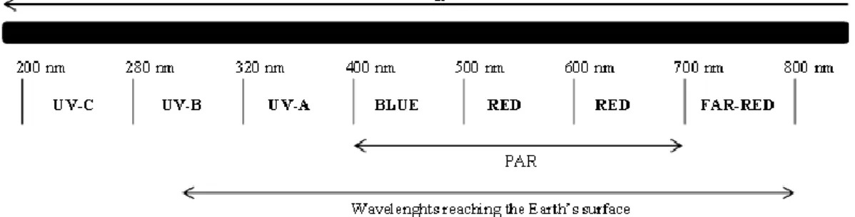 Figure  1.4:  the  solar  spectrum  perceived  by  higher  plants.  PAR,  photosynthetically  active  radiation