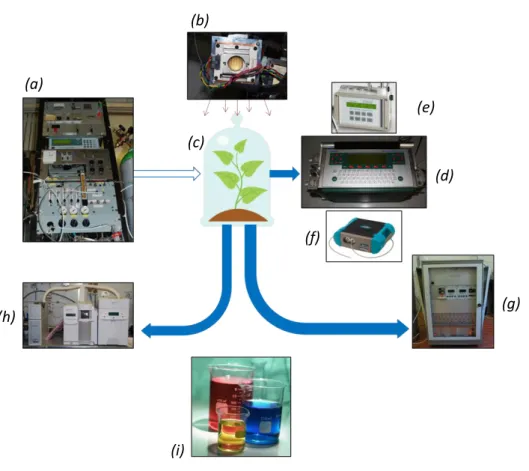 Figure 2.2: Schematic representation of the experimental system used: (a) synthetic air generator, (b) light system, (c)  plant cuvette, (d) infrared gas analyser, (e) fluorometer, (f) spectroradiometer, (g) PTR-MS, (h) GC-MS, (i) biochemical  analysis
