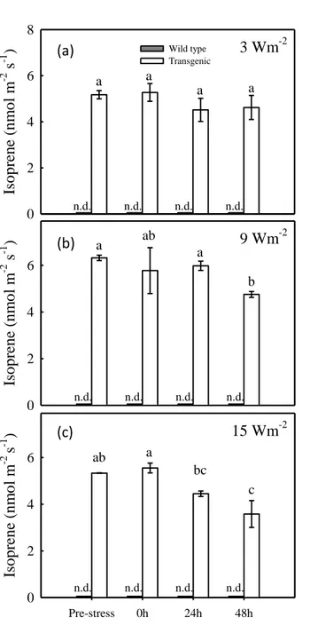Figure  3.2: isoprene emission in transgenic isoprene-emitter tobacco plants (grey bars) and in wild-type plants (white  bars) exposed to 3 (a), 9 (b) and 15 W m -2  (c) intensity UV-B radiation for 90 minutes