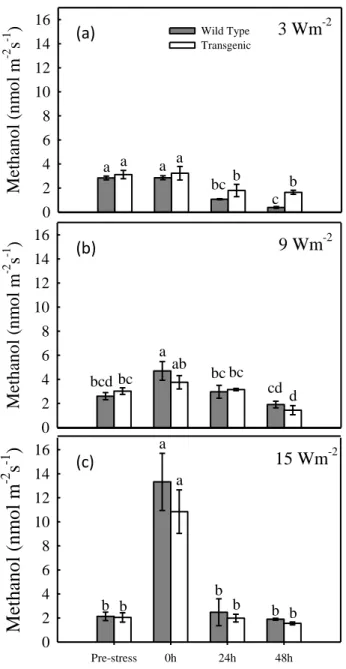 Figure 3.3: methanol emission in transgenic isoprene-emitter tobacco plants (grey bars) and in wild-type plants (white  bars) exposed to 3 (a), 9 (b) and 15 W m -2  (c) intensity UV-B radiation for 90 minutes