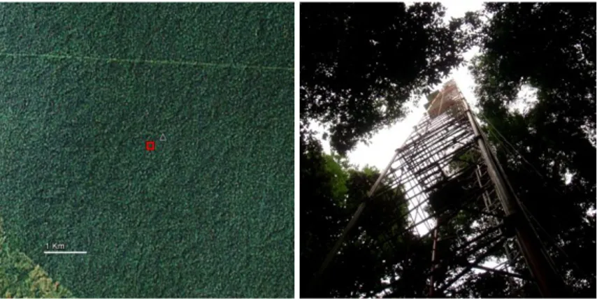Figure  4.1.  Left  panel:  aerial  image  of  the  main  tower (red square) location