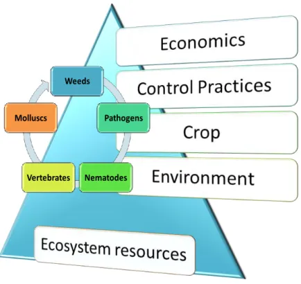 Figure 1. The interaction of weeds and other components of  the agricultural 