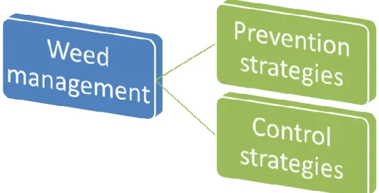 Figure  4.  A  conceptual  framework  for  developing  a  broader  perspective  with  weed  management  that 