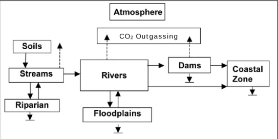 Figura 1.3 - Rappresentazione dei principali flussi di CO 2  nei sistemi fluviali. (modificato da Richey, 2004).