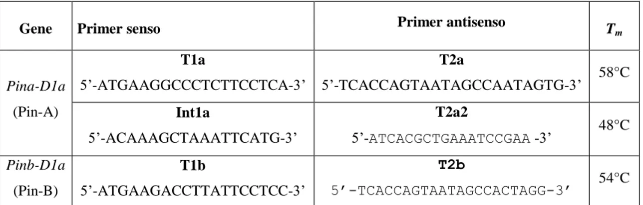 Tabella  2:      Primers  e  T m   utilizzati  per  l’amplificazione  PCR  del  DNA  genomico  codificante  per  le 
