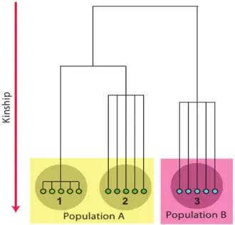 Figure 19: Structured populations