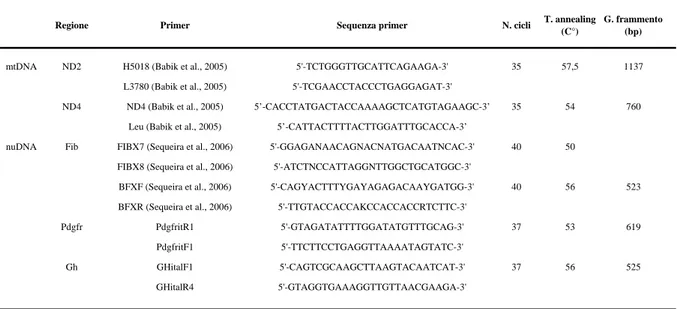 Tabella 2-5: Primers, numero di cicli e temperature di annealing utilizzate per l'amplificazione dei diversi frammenti di  DNA  mitocondriale  e  nucleare