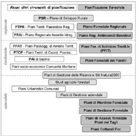 Fig.  1  -  Rapporto  tra  gli  strumenti  della  pianificazione  forestale  e  altri  strumenti  esistenti  (con lo sfondo quadrettato sono riportati gli strumenti collocabili in una posizione intermedia 