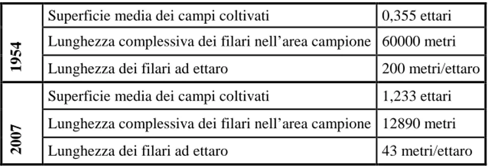 Tab.  5  -  Superficie  media  dei  campi  coltivati  e  lunghezza  dei  filari  tra  il  1954  e  il  2007  a  Lucignano