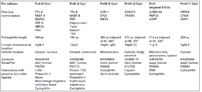 Table 1. Six subclasses of Peroxiredoxins (Prxs) from mammals. 