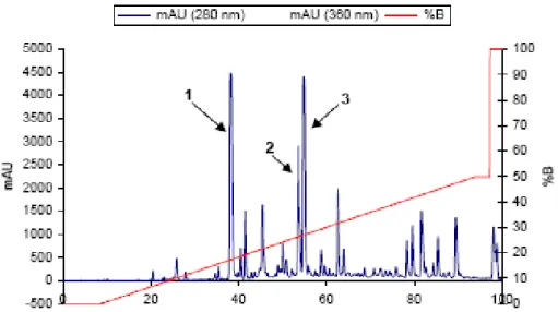 Figura 9 - Cromatogramma HPLC dell’estratto di Rubus ulmifolius 