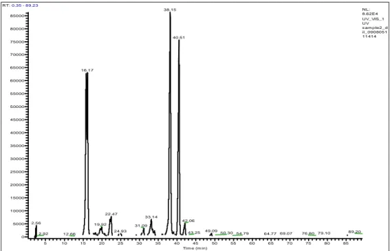 Figura 10 - Cromatogramma HPLC dello spot R 