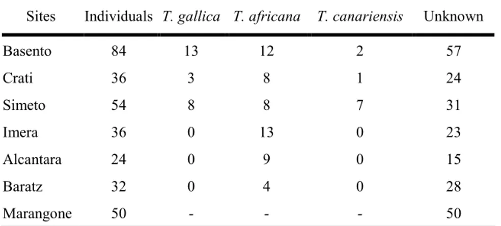 Table  4.1:  Number  of  plants  collected  per  population  and  number  of  individuals  identified  by  morphological  traits according to Baum’s dichotomical key divided per population and species (species identification by Grazia  Abbruzzese)