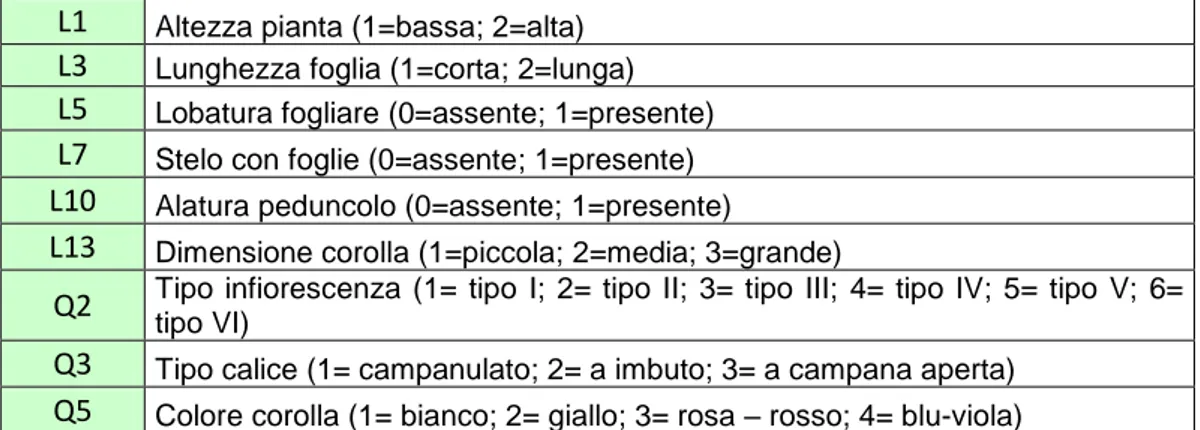 Tabella 2 - Elenco dei dati morfometrici raccolti, con la lettera L sono contrassegnati i dati di natura  quantitativa, con la lettera Q i dati di natura qualitativa