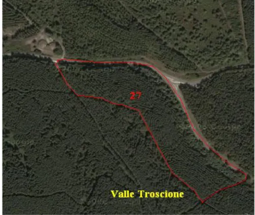 Fig. 2.3 – Particella 27 sita in loc. Valle Troscione vista dal satellite 
