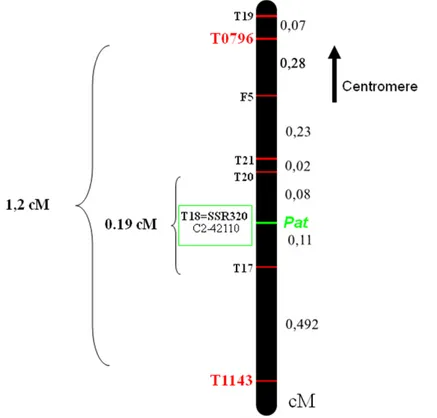 Fig. 2-2. Genetic linkage map surrounding the Pat locus on the long arm of chromosome 3