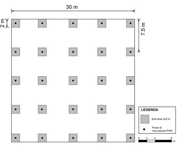 Fig. 6  Rappresentazione schematica delle AdM. 