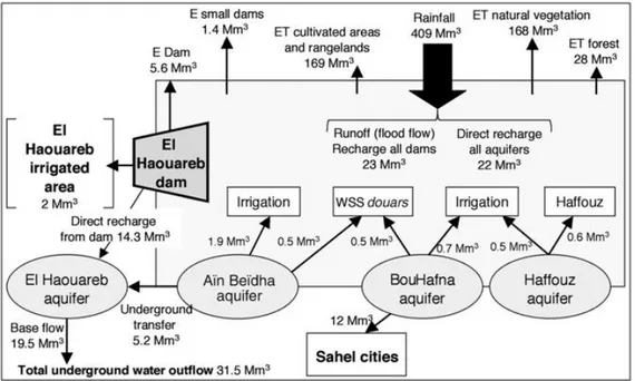 Figure 21 Assessment of average flows of the upstream zone of Merguellil basin   (2000–2004)  (Le Gouleven and al, 2009)