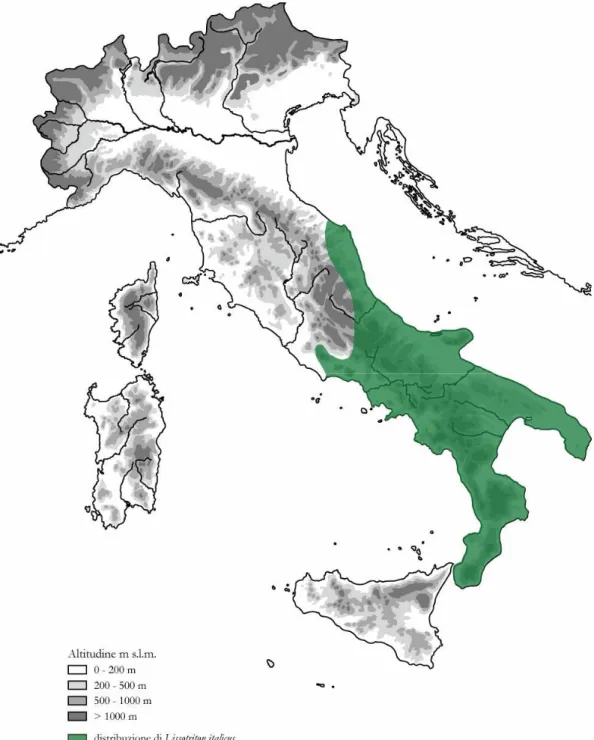 Figura 7.  Distribuzione geografica di L. italicus in Italia. 